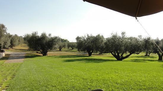 La Pecora Ladra Appartamenti Montalto di Castro Exterior photo